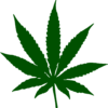 marijuana, leaf, drug-34353.jpg